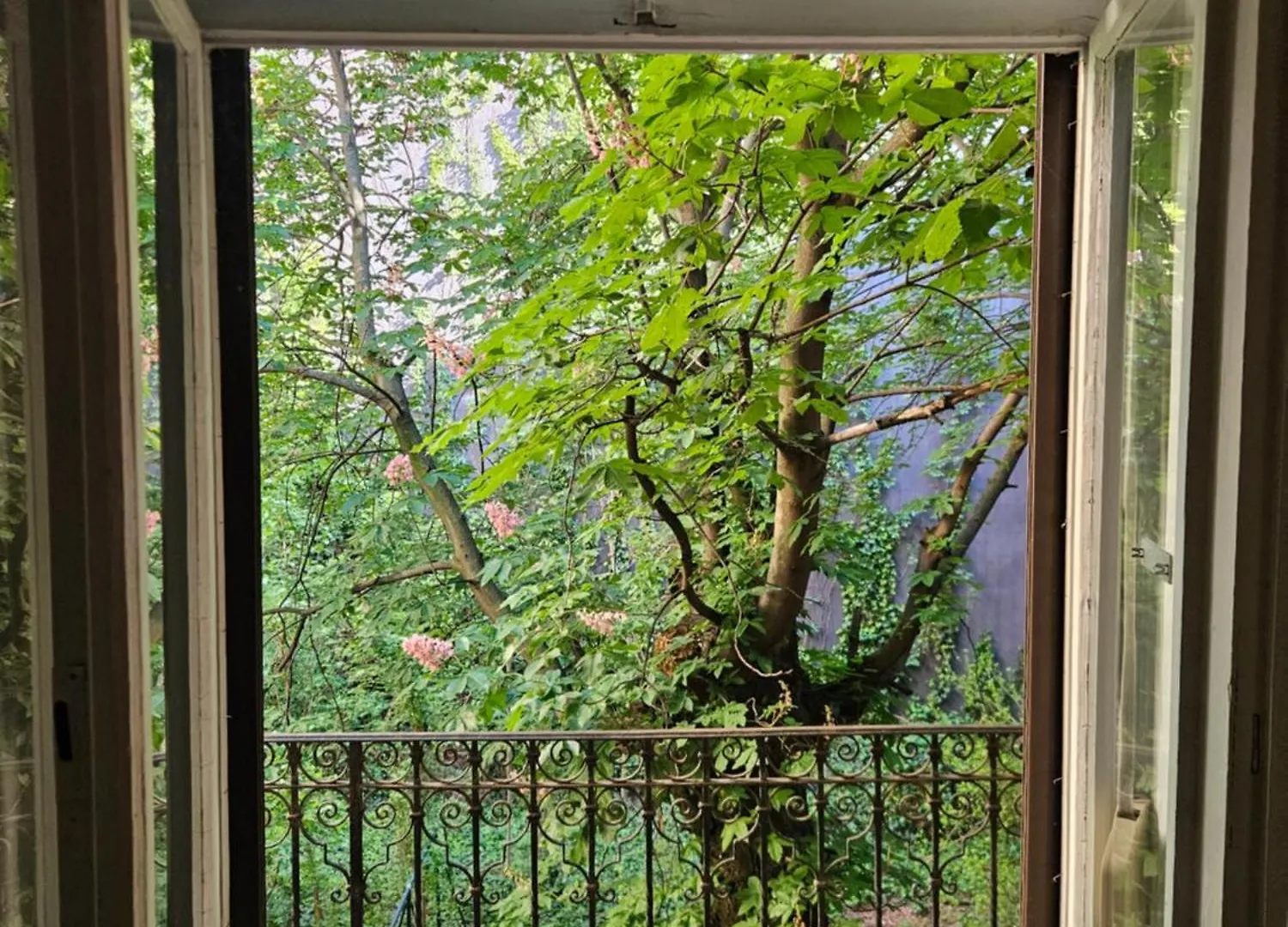 Ligeti Ruin Hostel Budapest Hungary
